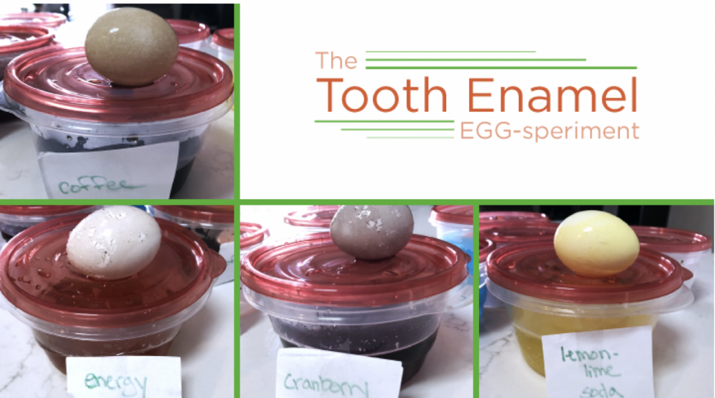 Watch how eggshells demonstrate which beverages stain tooth enamel the most.