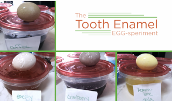 Watch how eggshells demonstrate which beverages stain tooth enamel the most.