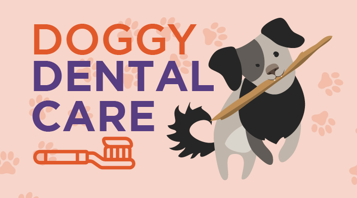 Your dog’s teeth are important and require regular cleaning. Learn doggie teeth tips and how to take care of your canine’s grins.